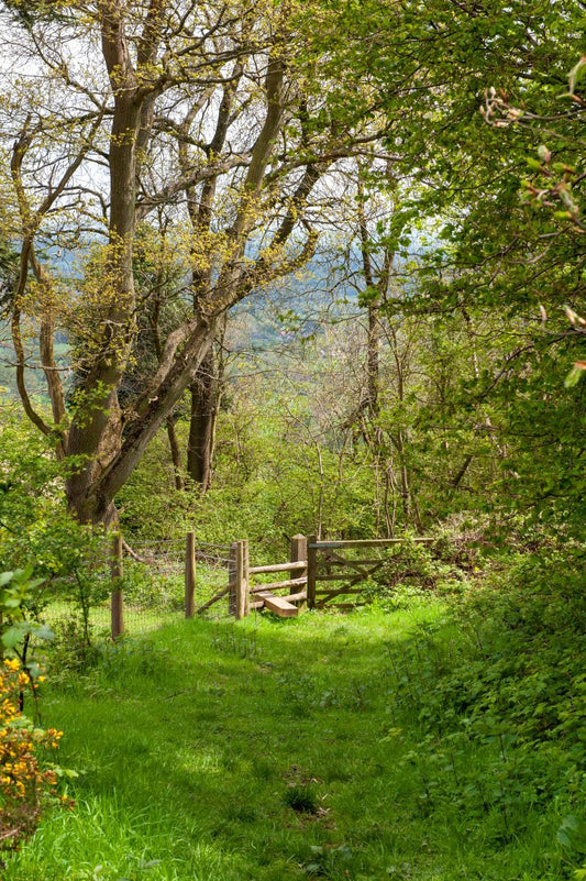 Surrey Three Peaks Challenge