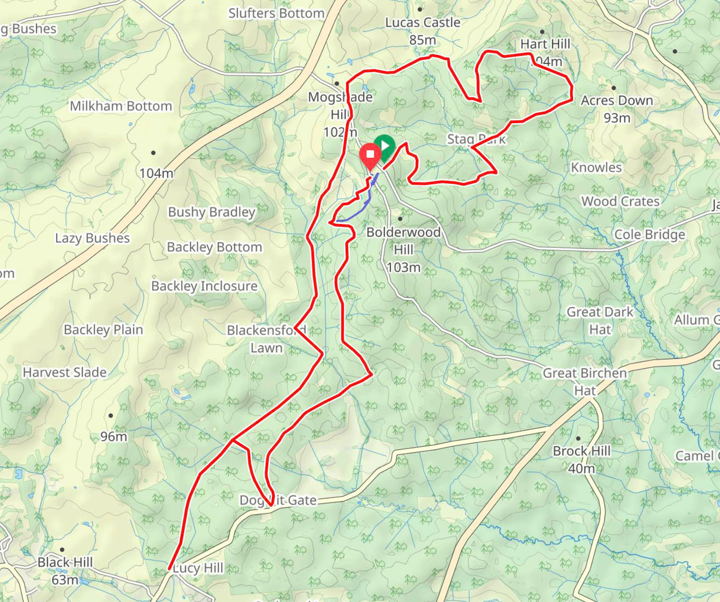 New Forest Half Marathon