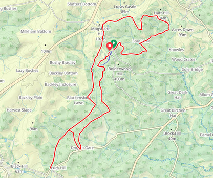 New Forest Half Marathon